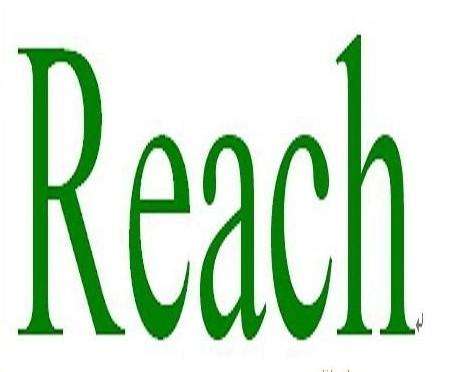 REACH检测